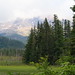 Helen Marsh Photo 13