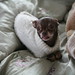 Jessica Mull Photo 4