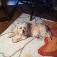 Cheryl Nolen Photo 14
