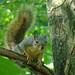 Jesse Grey Photo 11