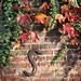 Thomas Hagemann Photo 9