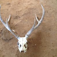 Indranil Mukherjee Photo 16