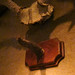 Mary Horn Photo 8