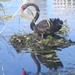 Annette Hale Photo 13