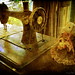 Trudy Freer Photo 5