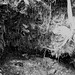 Martha Root Photo 10