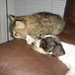 Thomas Bowers Photo 21