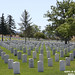 Stephen Polk Photo 13