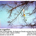 Stephanie Inman Photo 13