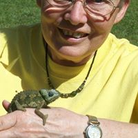 Linda Steinberg Photo 37