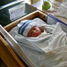 Nathan Crowder Photo 15