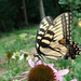 Maryann Robinson Photo 9