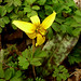 Marion Harrison Photo 10
