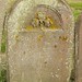 Mary Robert Photo 9