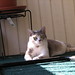 Katina Stone Photo 7