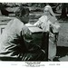 Deborah Allison Photo 10