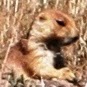 Nancy Colyar Photo 9