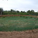 Patricia Galloway Photo 8