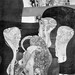 Roman Law Photo 4