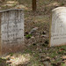 Suzanne Fleming Photo 14