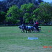 Stacey Rhodes Photo 9