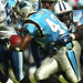Stephen Davis Photo 5