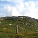 John Galego Photo 6