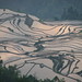 Dawn Rice Photo 7
