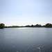 Lake Gibson Photo 9