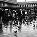 Pedro Venecia Photo 6