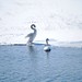 Corey Swan Photo 7