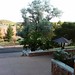 John Haigler Photo 6