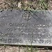 Elizabeth Mcdonald Photo 15