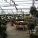 Susan Homewood Photo 6