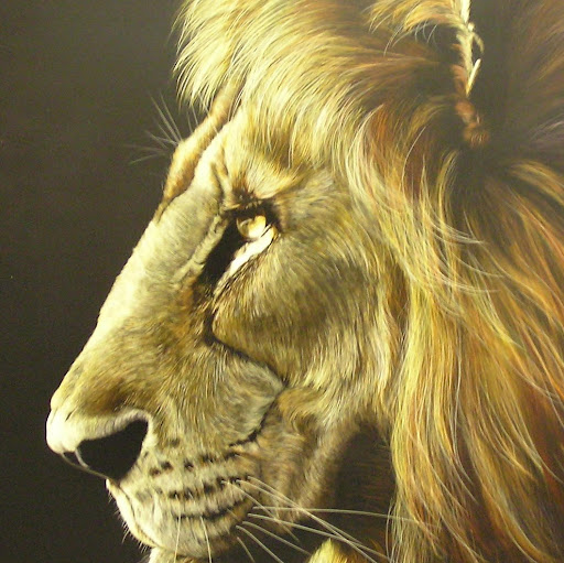 Dinesh Kalra Photo 17