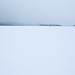 Pat Pelletier Photo 10