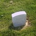 Daniel Cline Photo 5