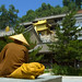 Shan Wu Photo 10