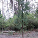 Gary Smothers Photo 11