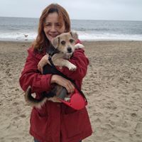 Laura Stark Photo 33
