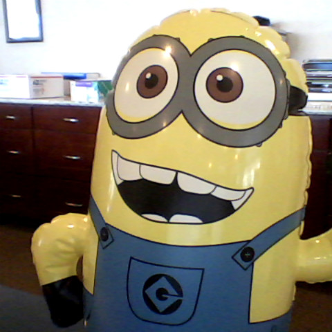 Dave Minion Photo 11