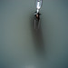 Scott Griswold Photo 8
