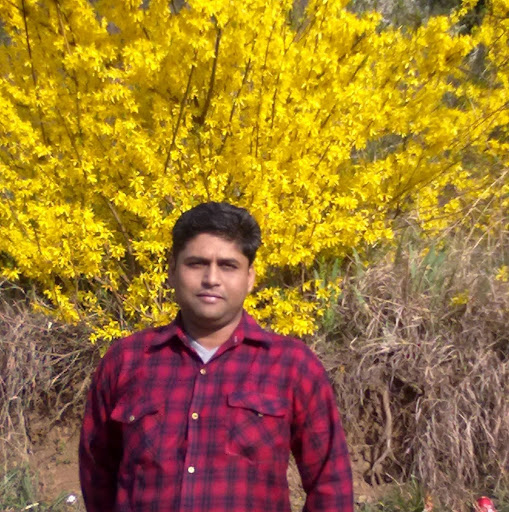 Sam Ghosh Photo 19