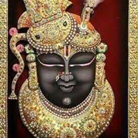 Harshad Patel Photo 44