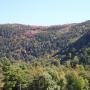 Debra Pope Photo 35