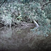 Robert Fern Photo 9