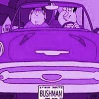 Bill Bushman Photo 19