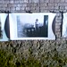Deborah Powers Photo 10