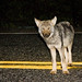 James Wolf Photo 19