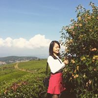 Phung Nguyen Photo 25